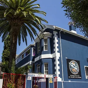 Hostel Big Blue Backpackers Cape Town